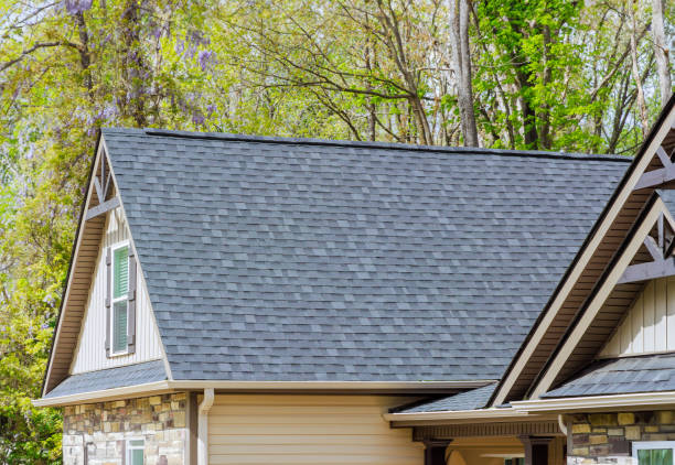 Best Chimney Flashing Repair  in Manana, HI