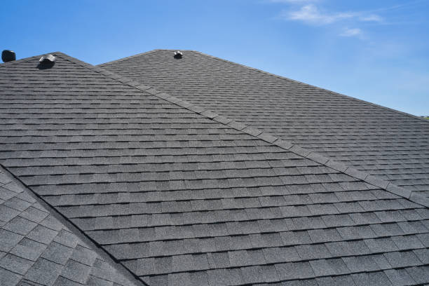 Best Sheet Metal Roofing  in Manana, HI